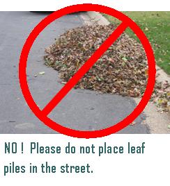 No! Please do not place leaf piles in the street. (Photo of leaf pile in the street)