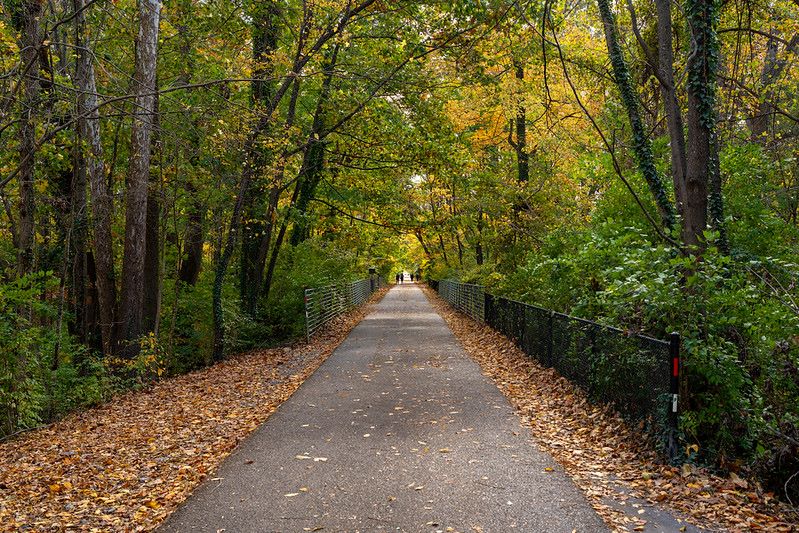 沿著首都新月步道 (Capital Crescent Trail) 的自然步道。