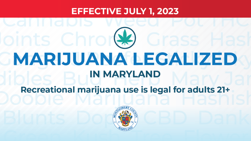 娛樂性大麻在馬里蘭州現已合法