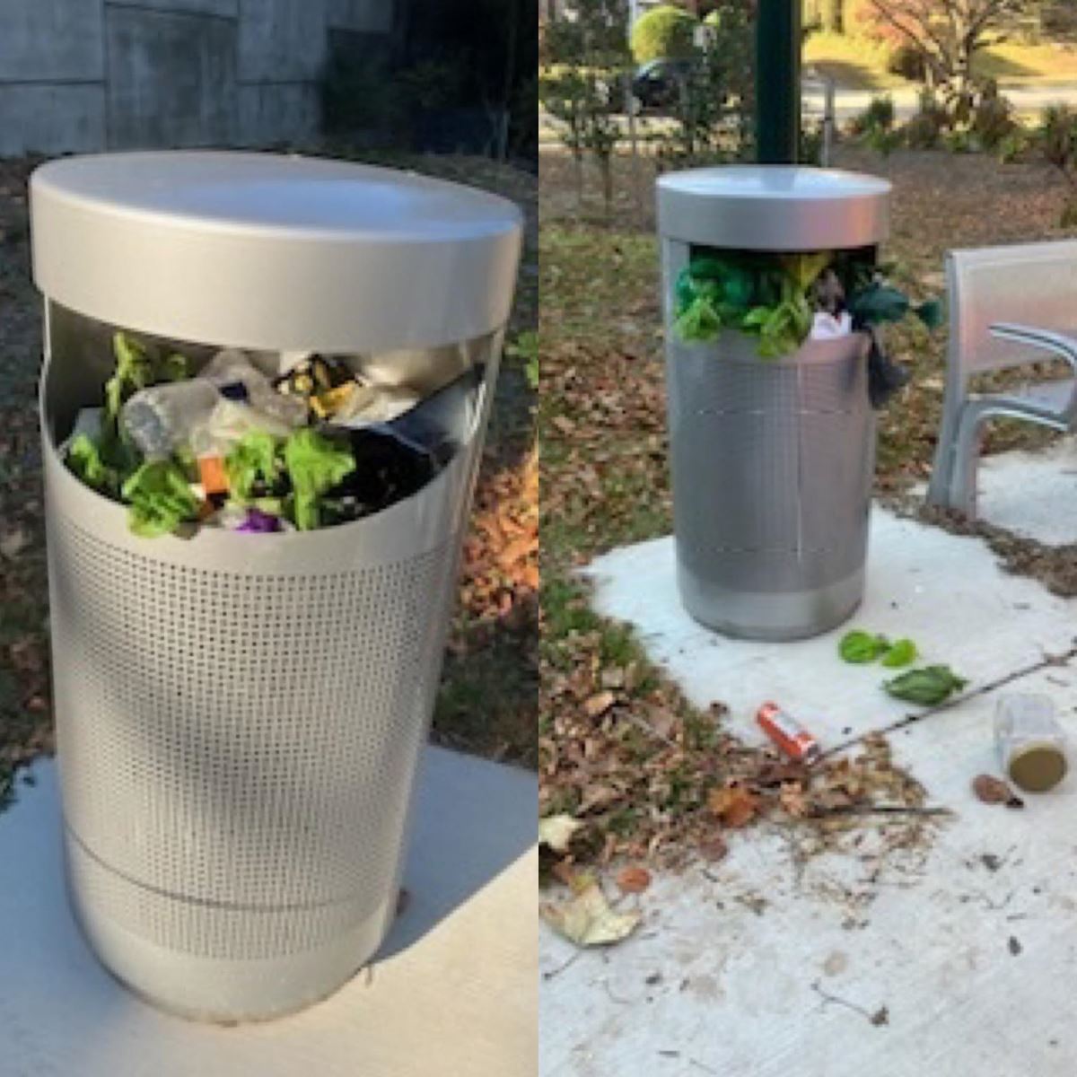 Imágenes del recipiente de basura lleno en Chevy Chase.