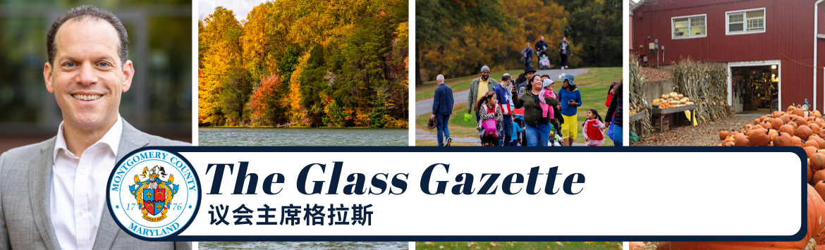 Glass Gazette - Chinese Banner