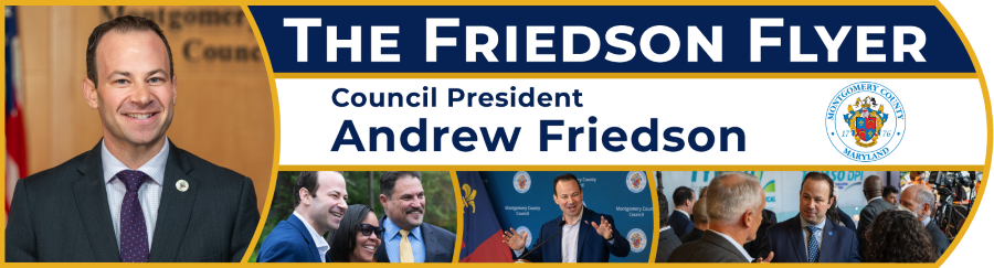 The Friedson Flyer - Council President Friedson’s newsletter banner image