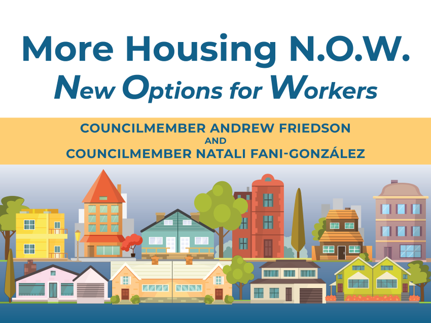 Poster for More Housing N.O.W. and New Options for Workers