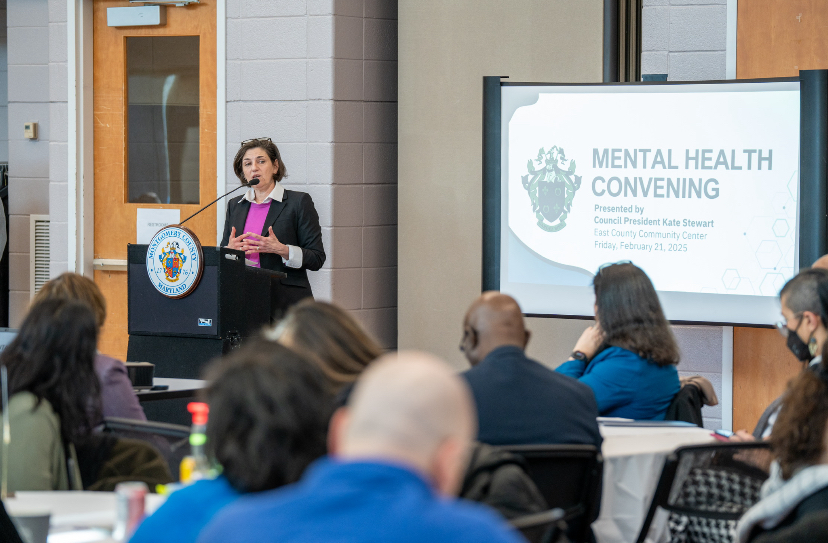Council President Stewart speaks at the Mental Health Convening in Feb. 2025.