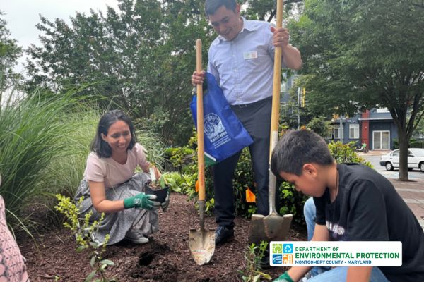 Three people, one standing and two squatting planting native plants.