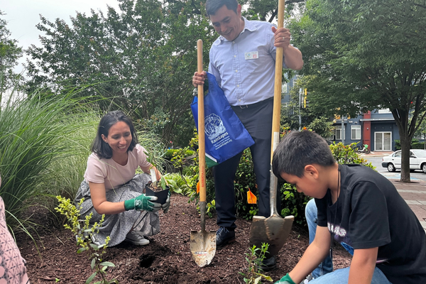Three people, one standing and two squatting planting native plants.