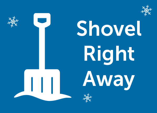 shovel standing upright in snow