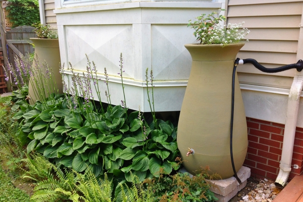 rain barrel