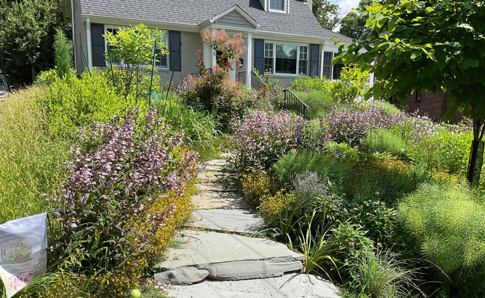 native plant garden in front yard of home