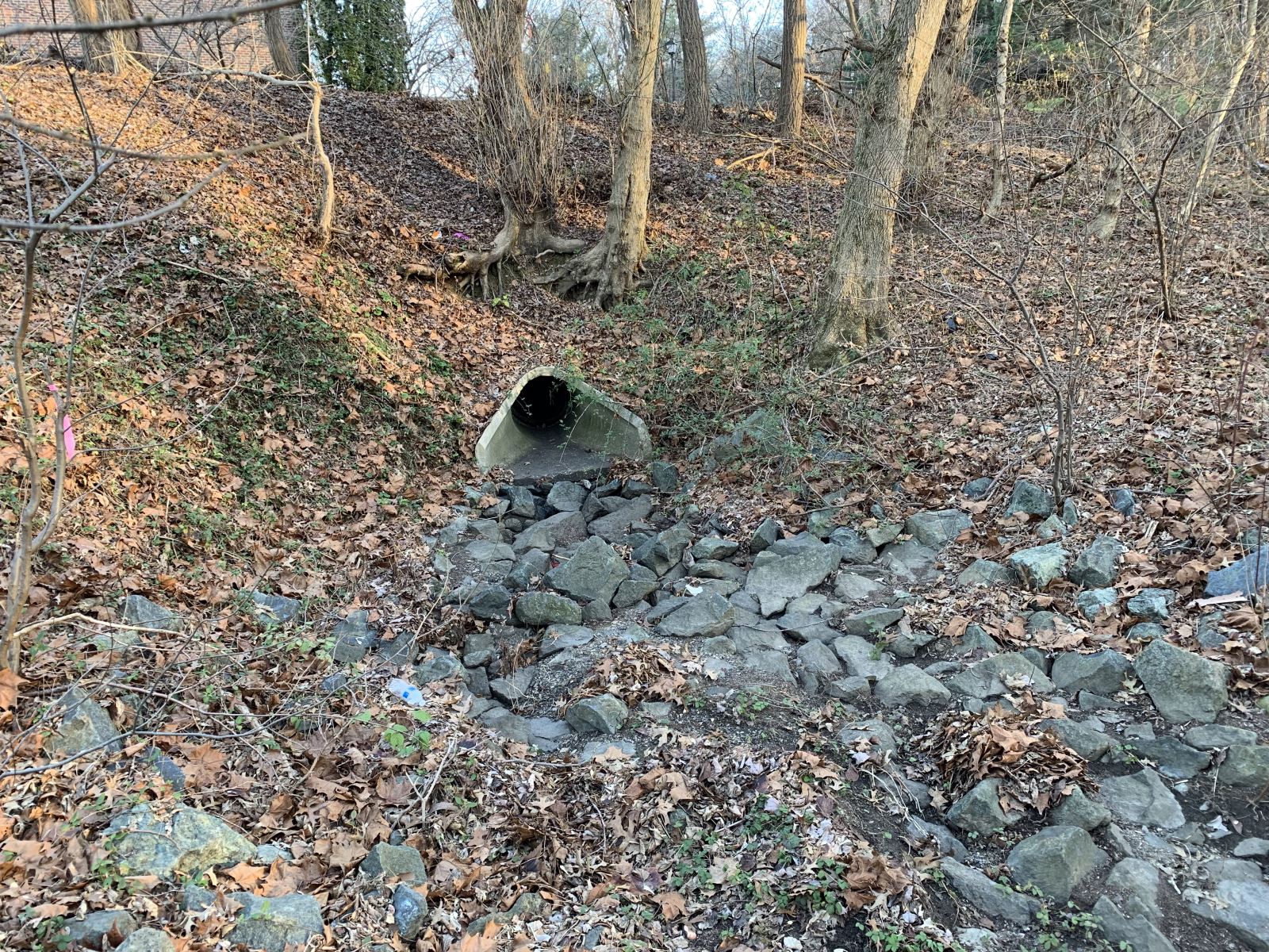 24 Inch Stormwater Outfall Located West of Silvergate Way