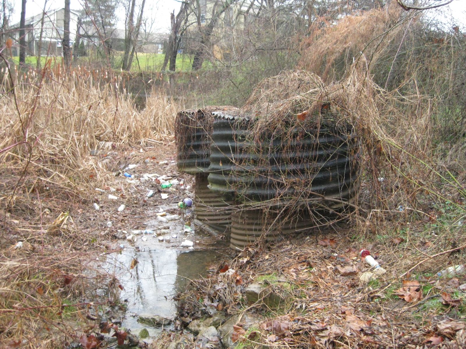 Pond 11178 in preconstruction condition, pond full of sediment and vegetation covering metal riser structures. 