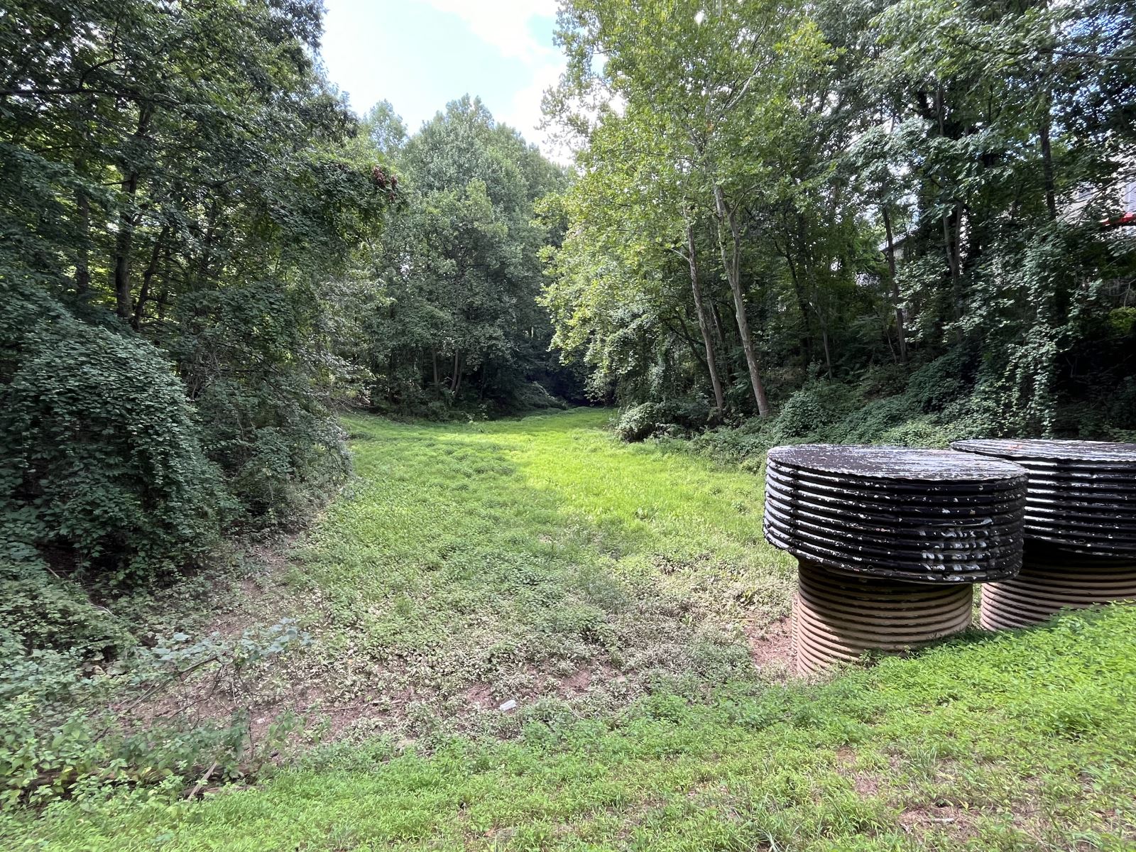 Seneca Foreset Stormwater Project