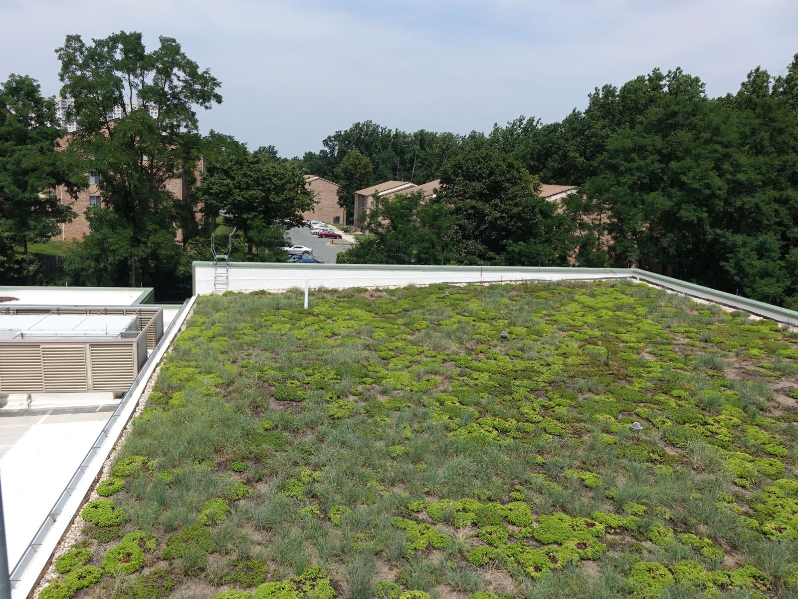 Green roof at White Oake Community Recreation Center
