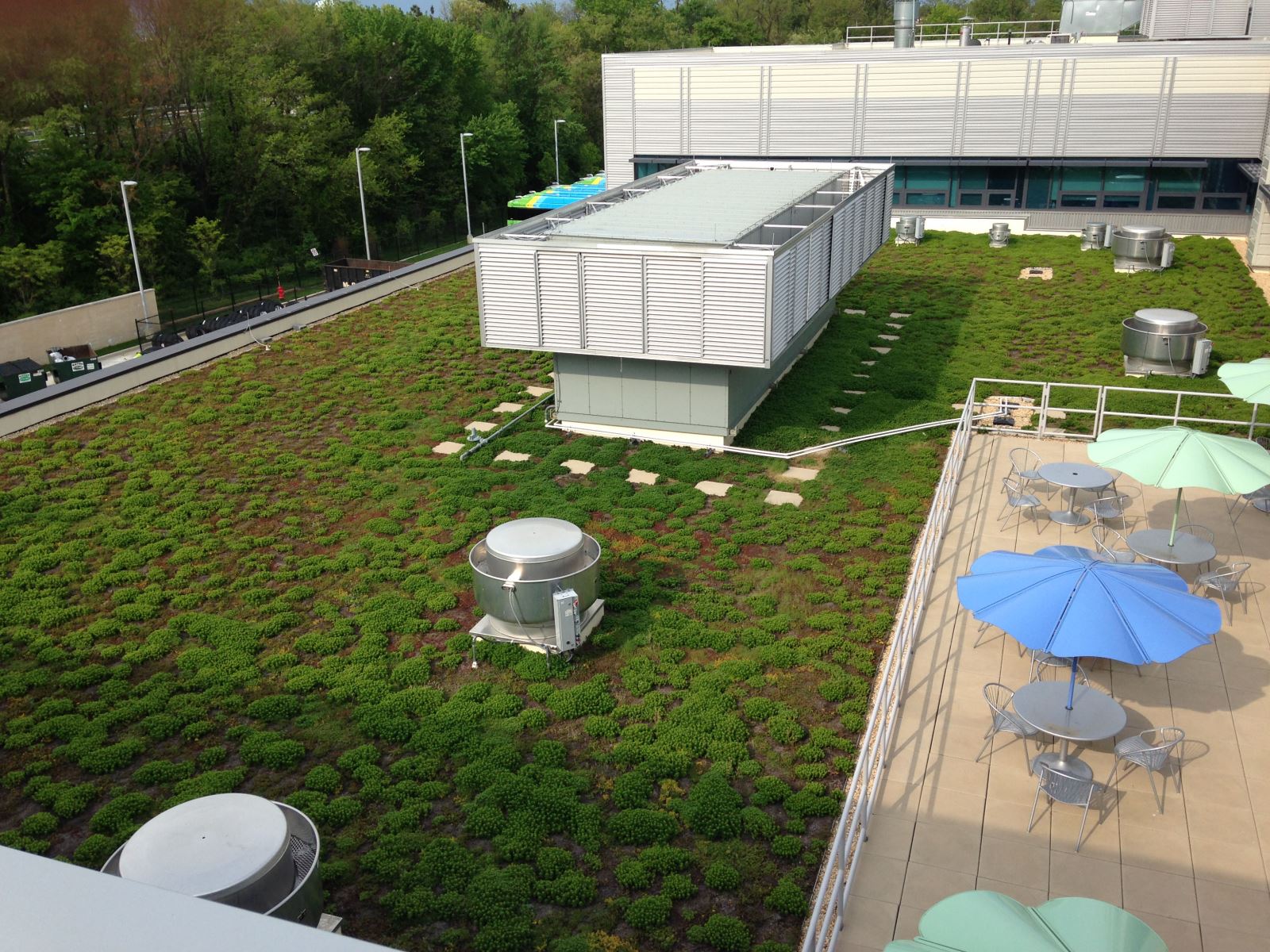 Green roof at EMTOC