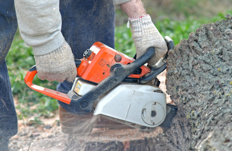 chainsaw cutting out a stump