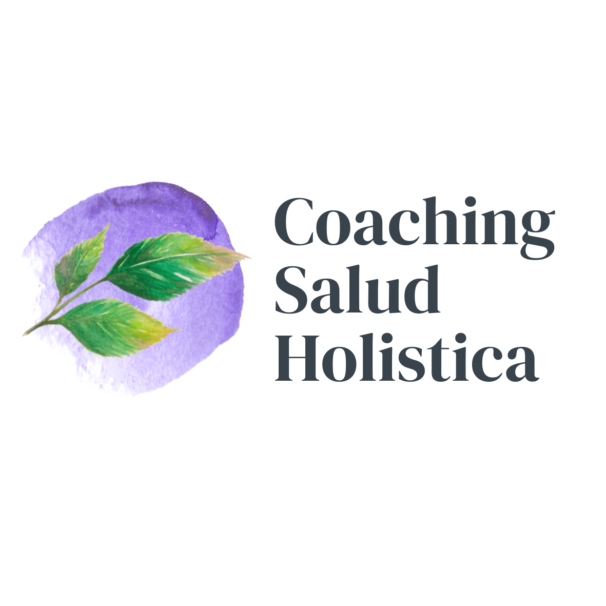 Coaching Salud Holistica