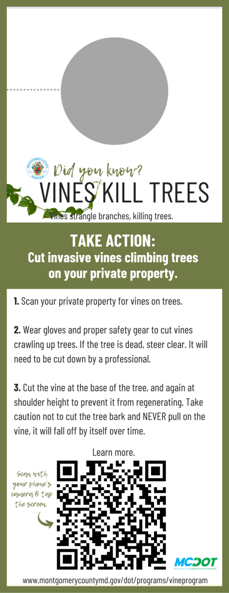 Printable Door Hanger stating that invasive vines kill trees and giving homeowners information on how to cut vines on trees.