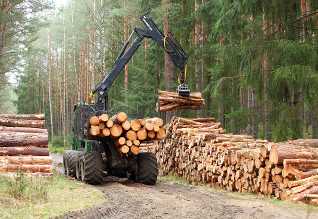 forest logging truck picking up logs