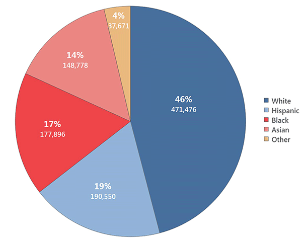 Demographics Ending Homelessness In Montgomery County MD