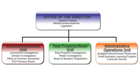 Office Consumer Organization Chart