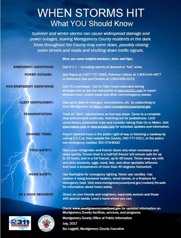 Thumbnail image of Thunderstorm tips flyer