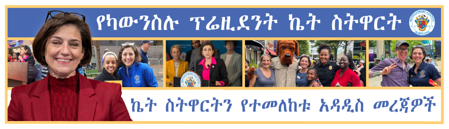 Keeping Up With Kate - Amharic Language Newsletter Banner