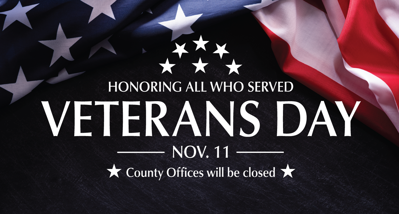 Movies on veterans day