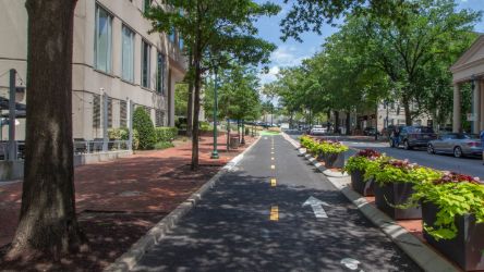 Bike lane separated from traffic with flowers in between