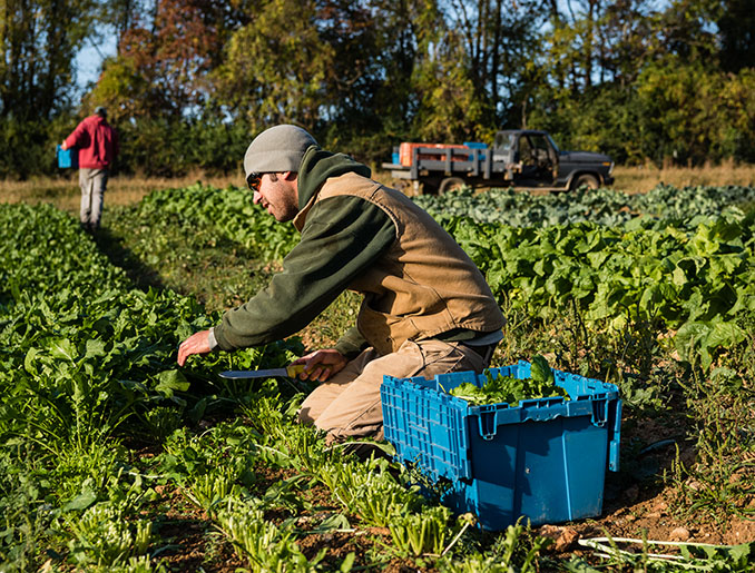 The Guide to Montgomery County Farmers Markets - Visit Montgomery