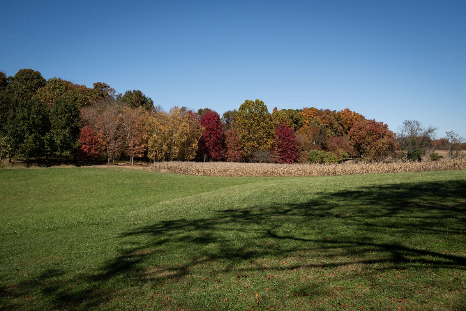 Office of Agricultural Service,Montgomery County, MD