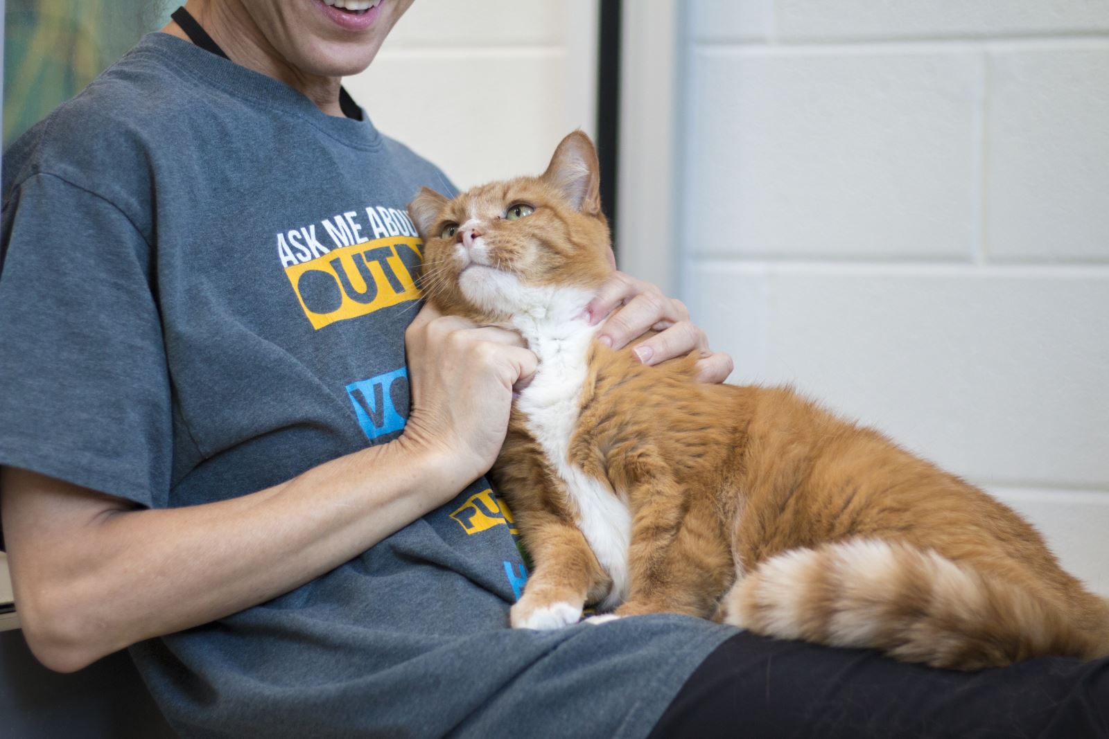 spotsylvania animal shelter volunteer