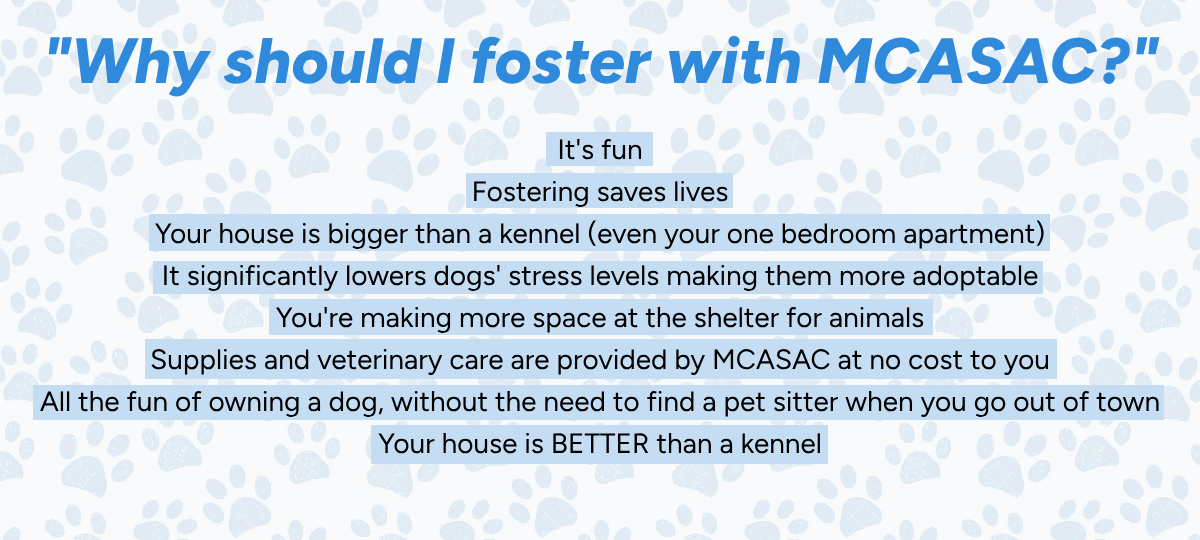 Reasons to Foster with MCASAC