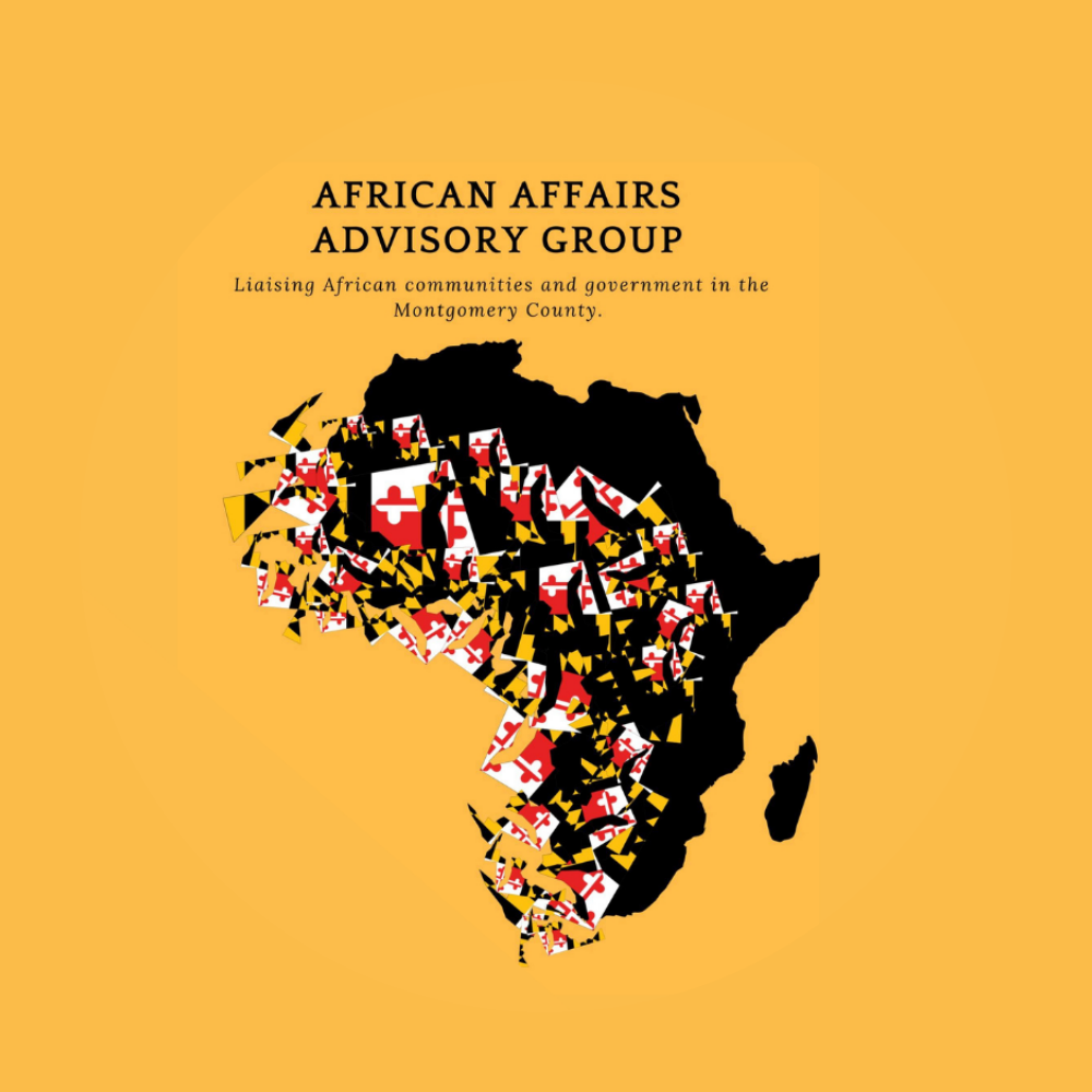 African Affairs Advisory Group