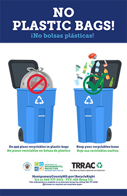 Image: No Plastic Bags in Recycling Containers Poster