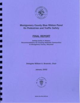 cover of Blue Ribbon panel report