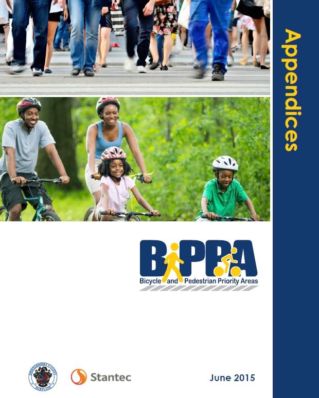 BiPPA Appendices