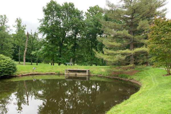 Stormwater management structure: wet pond.