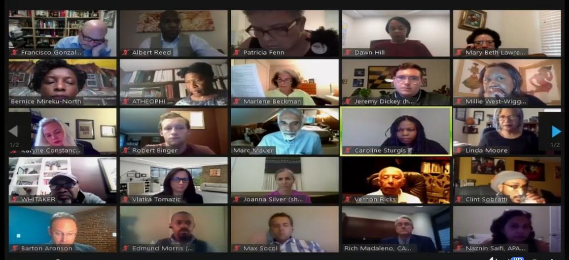 screenshot of online Task Force meeting participants